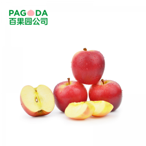 【百果园公司】A级-乐淇苹果（4个装）2条
